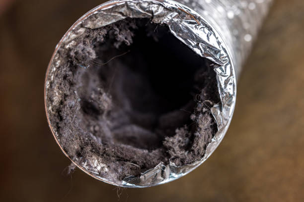 Best Professional Duct Cleaning Services  in Orida City, FL