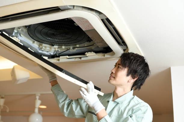 Best Ductwork Cleaning Services  in Orida City, FL