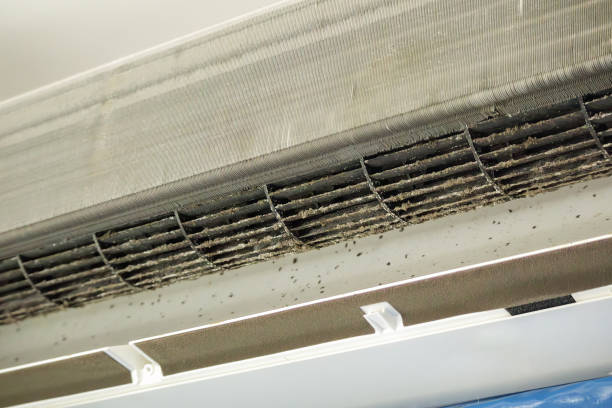 Best Air Duct Sanitizing Services  in Orida City, FL