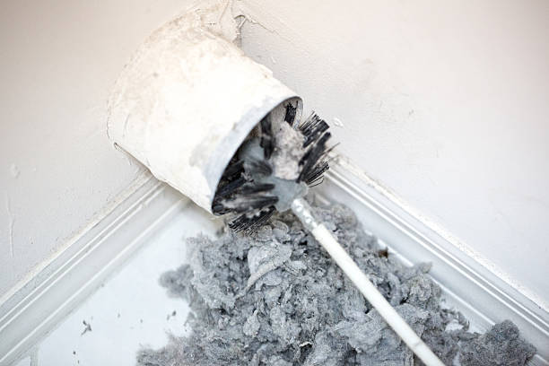 Best Residential Air Duct Cleaning  in Orida City, FL