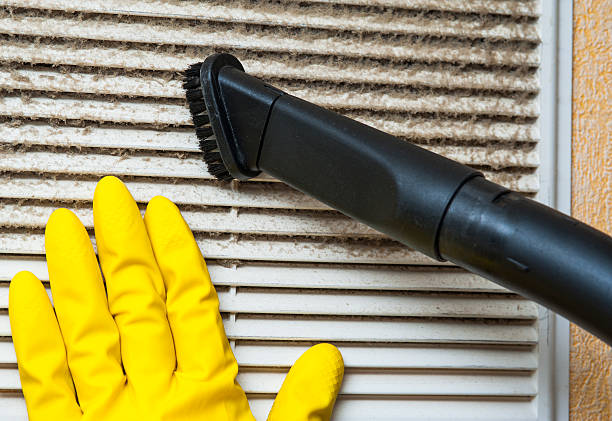 Best Ductwork Cleaning Services  in Orida City, FL